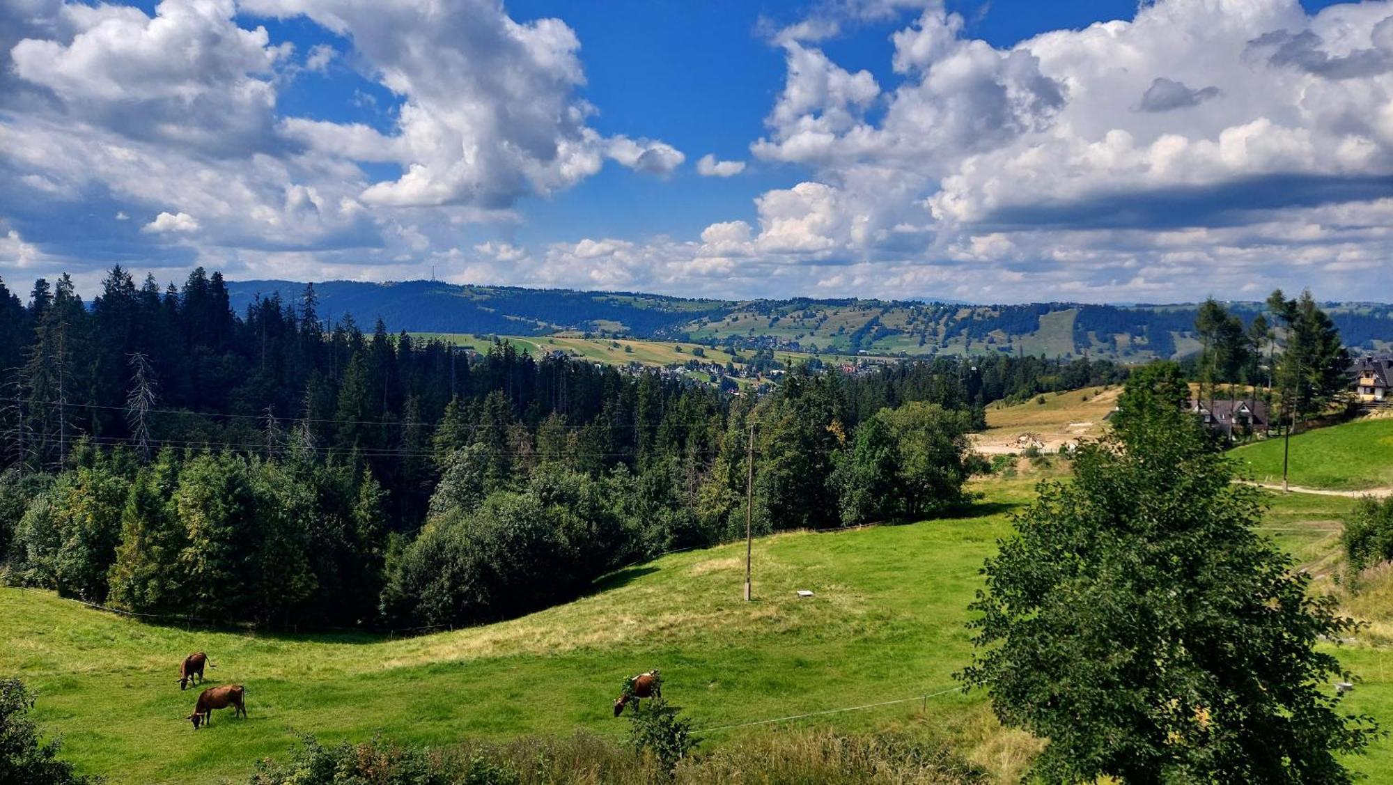 Willa Posrednia Zakopane Exteriér fotografie