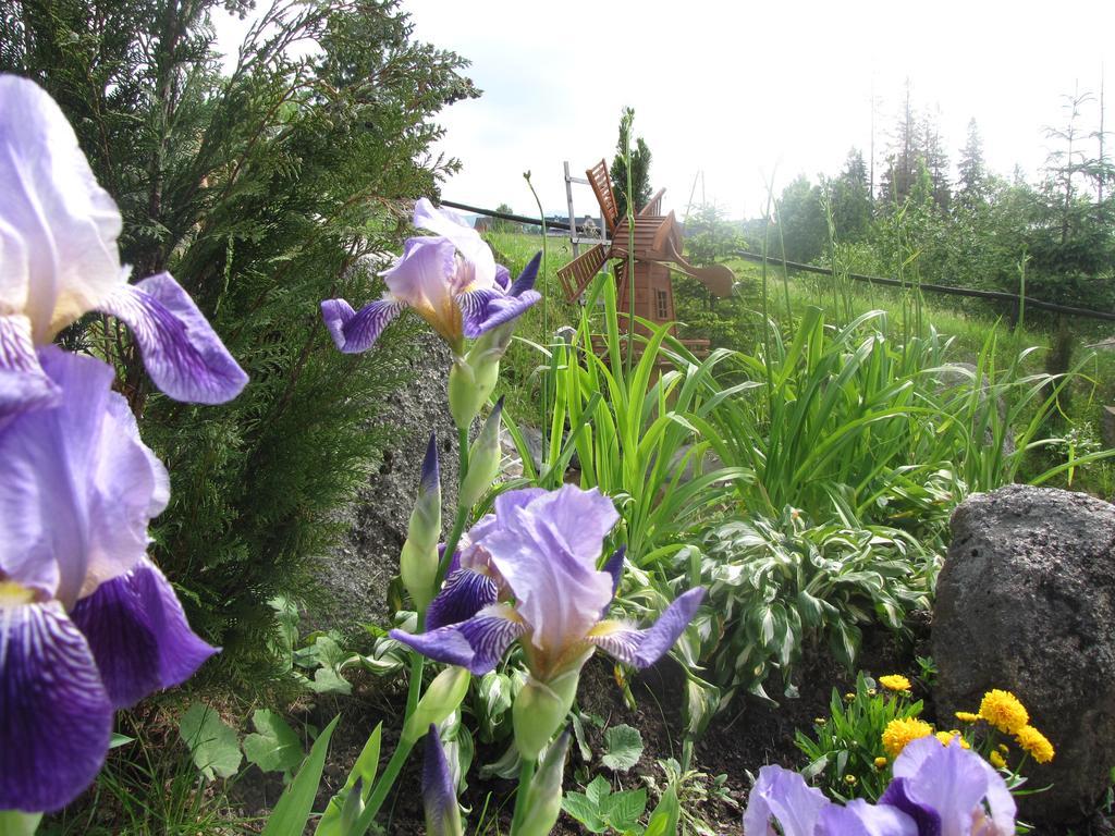 Willa Posrednia Zakopane Exteriér fotografie